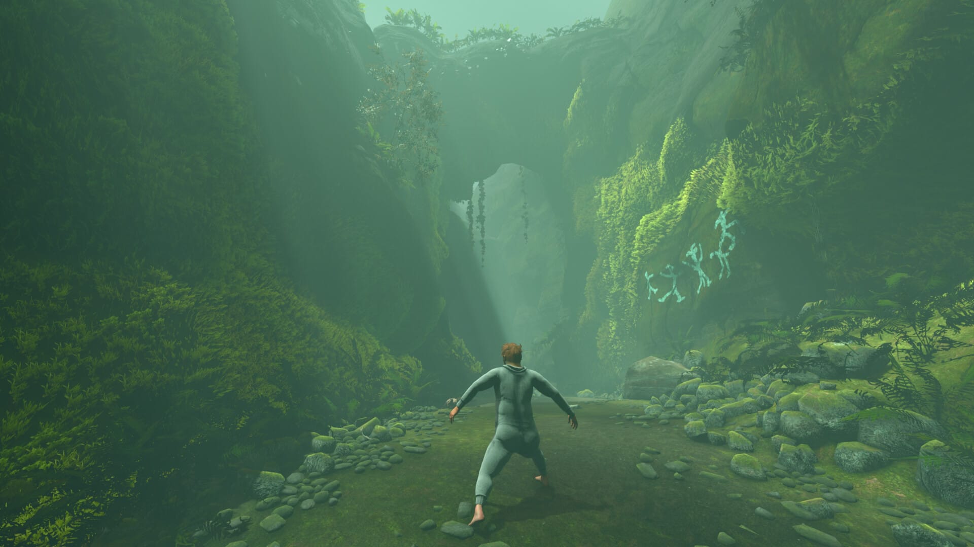 Man standing on a natural pathway in the middle of a forest