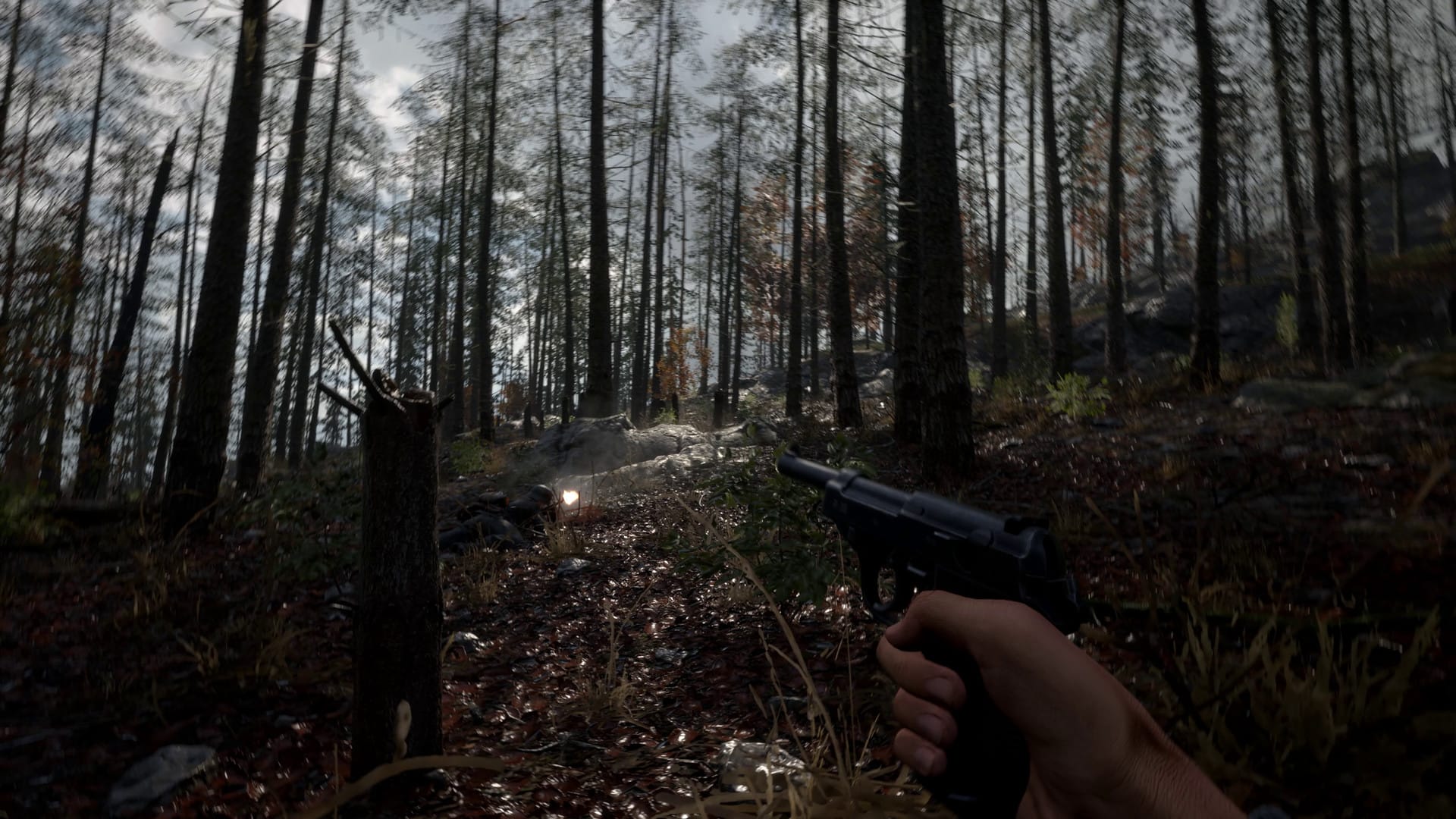 Man holding pistol in the forest