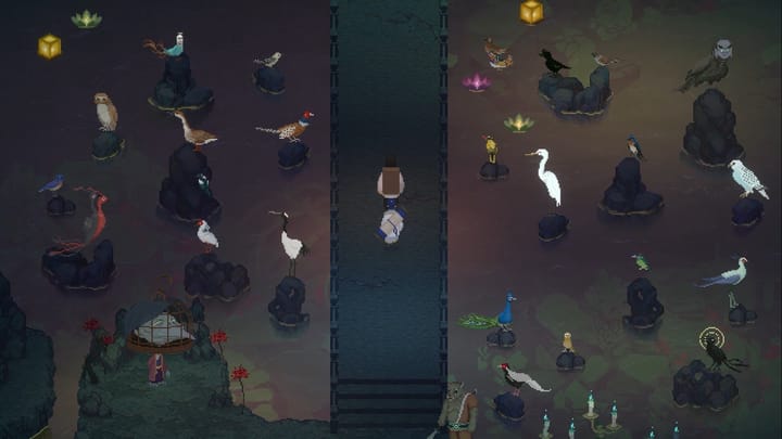 Someone walking across a bridge, birds standing on rocks on both sides can be seen