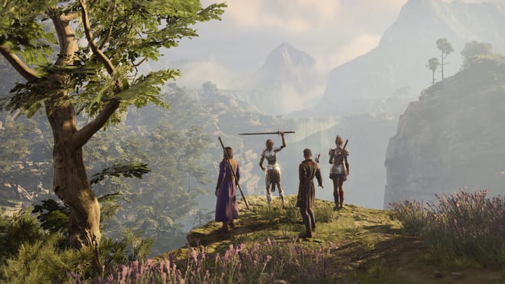 Baldur's Gate 3 screenshot of four party members standing near a cliff edge, one of them holding up a sword